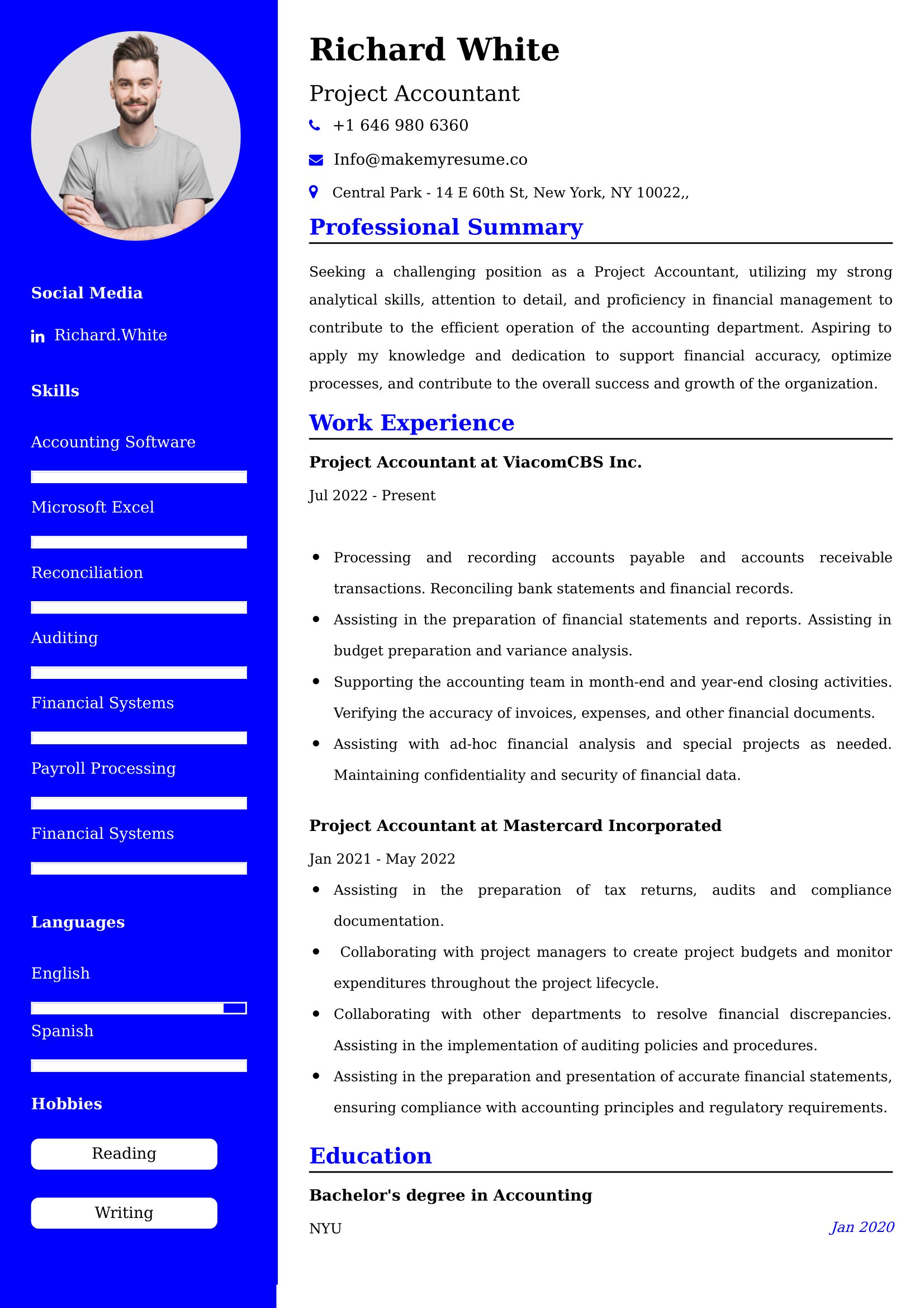 Project Accountant Resume Examples India